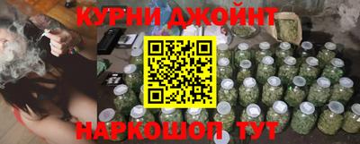амф Новозыбков