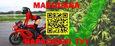 амф Новозыбков