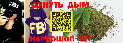 амф Новозыбков