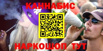 крисы Новодвинск