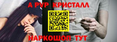 амф Новозыбков