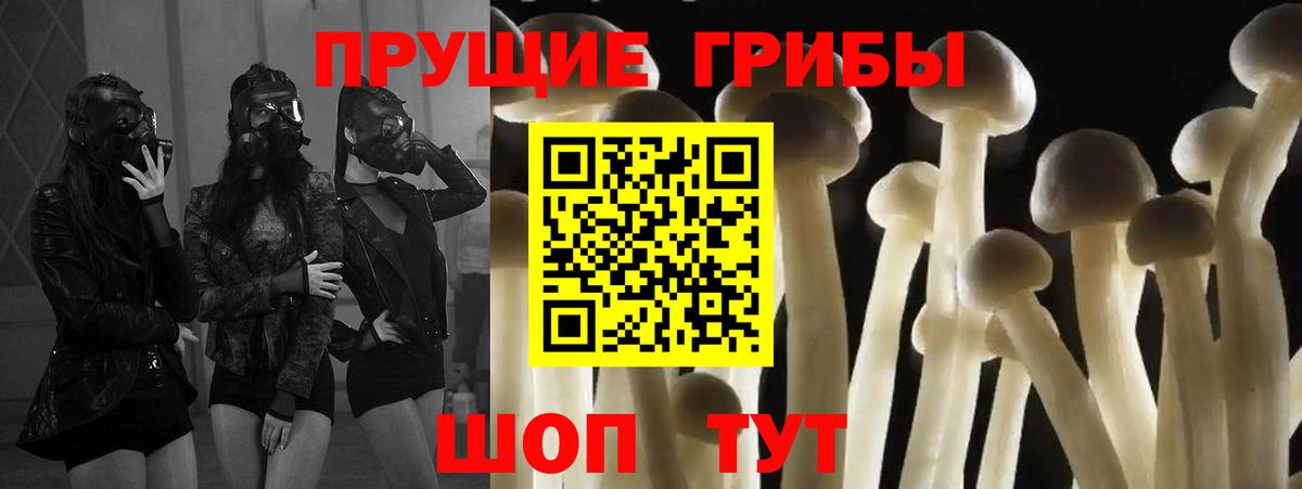 Псилоцибиновые грибы Cubensis Стрежевой